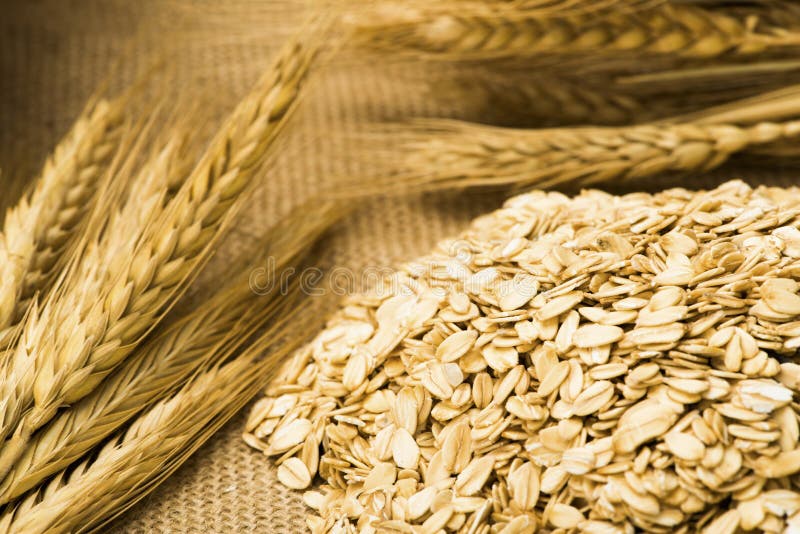Wheat and oats stock photo. Image of cornfield, flour 19231966