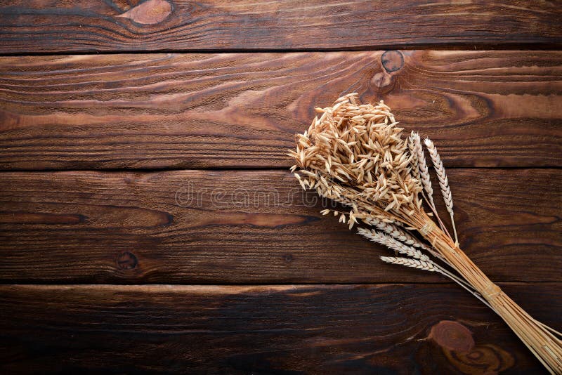 Wheat, Oats, Corn. on a Wooden Surface Stock Image Image of natural