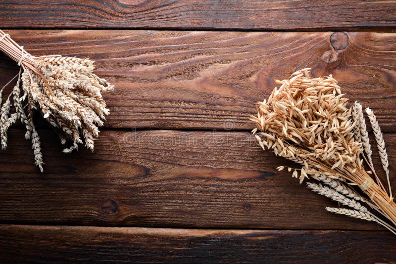 Wheat, Oats, Corn. on a Wooden Surface Stock Photo Image of crop