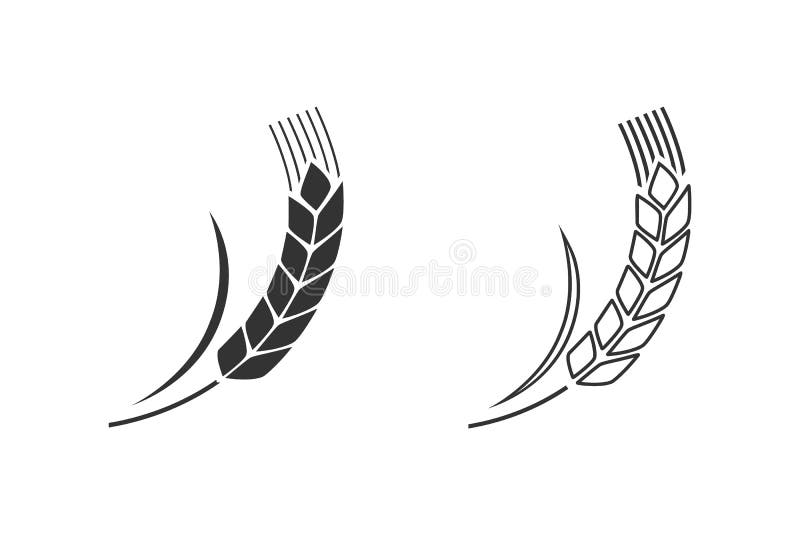 Wheat spike isolated on white background. Grain plant silhouette. Spica line icon set.