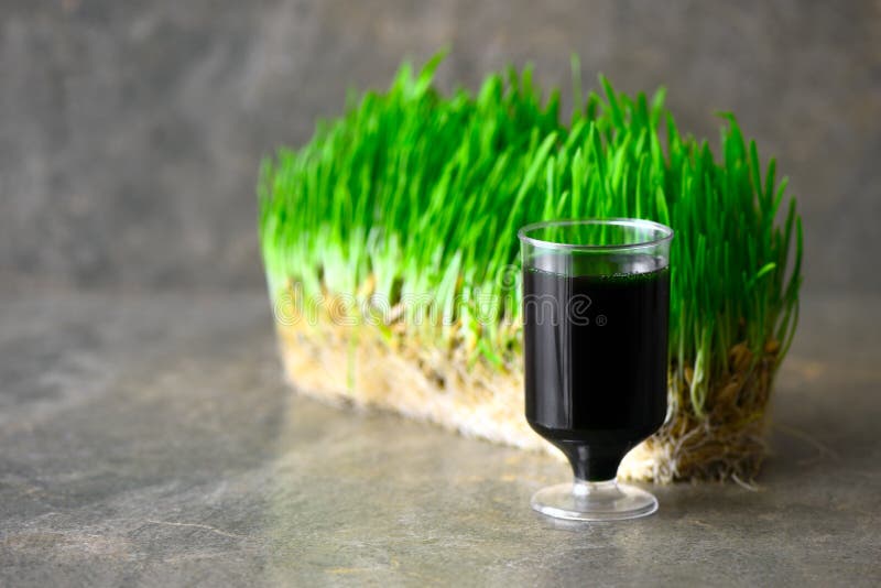 Wheatgrass drink shot stock photo. Image of ayurvedic 110139318