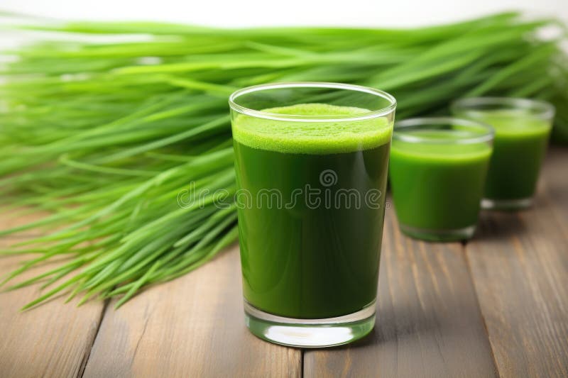 Wheatgrass Juice Glass with Fresh Wheatgrass Around Stock Image Image