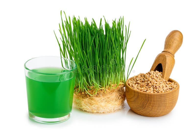 Wheatgrass Juice With Sprouted Wheat Isolated On White Background Stock