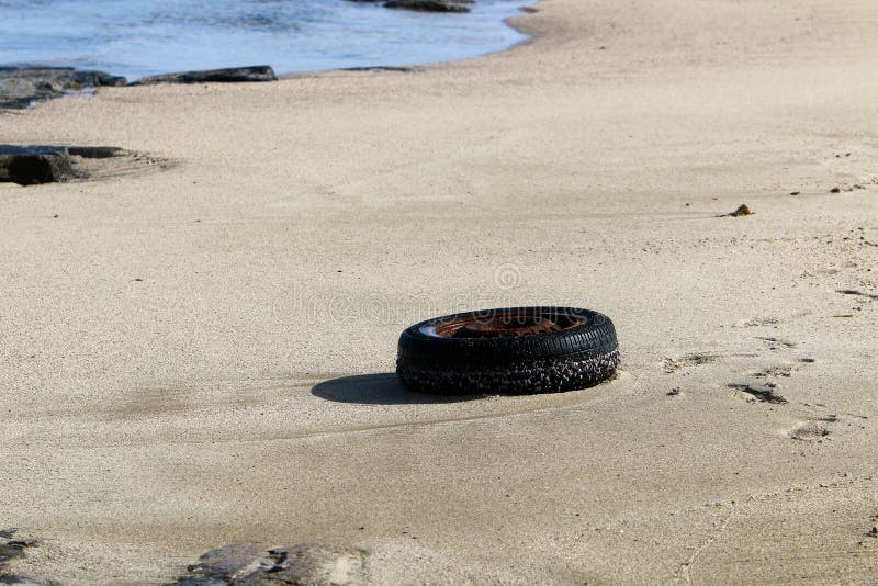 Application of Wheels in Engineering and Nature Stock Photo Image of