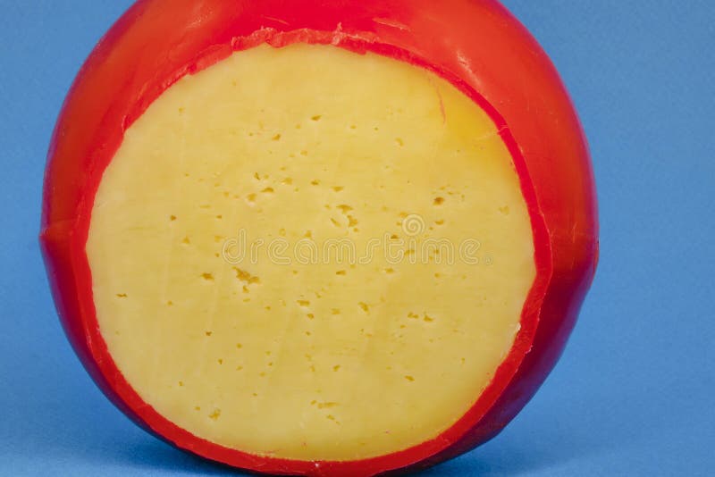 Wheel of fresh gouda cheese with a red rind on a blue monophonic background