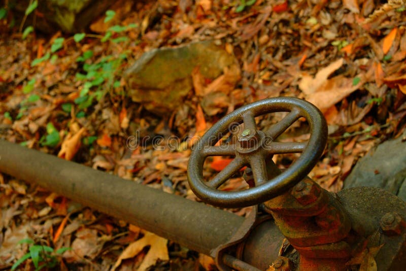 Wheel valve on water pipe in woods