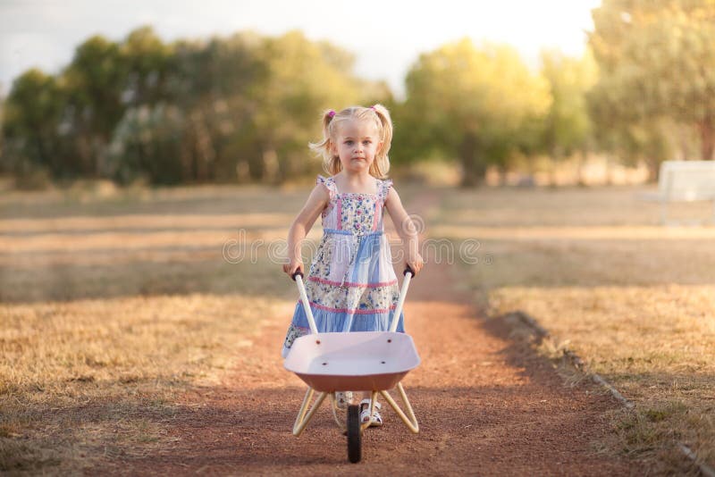 Wheelbarrow fotografia de stock royalty free
