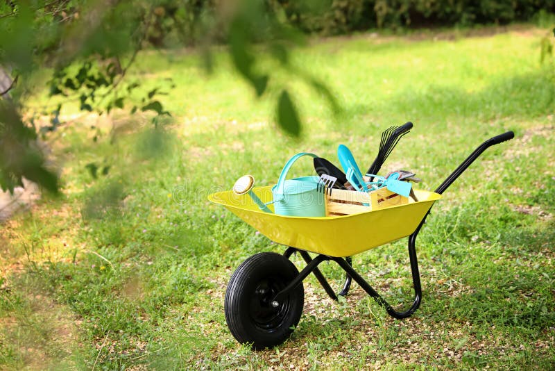 Wheelbarrow with Gardening Tools on Grass. Space for Text Stock Image