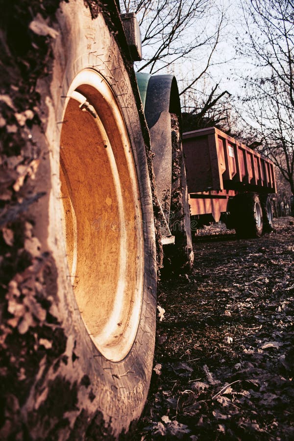 WHEELS tractor nature stock photo. Image of tree, branch 239847250