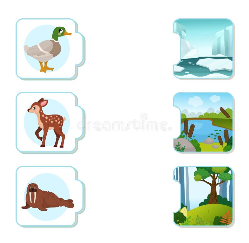 where-do-animals-live-stock-illustrations-11-where-do-animals-live