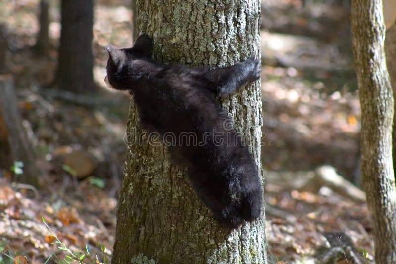 Where is MOMA! stock images