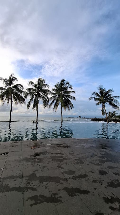 Where the plam trees sway and worries fade royalty free stock photo