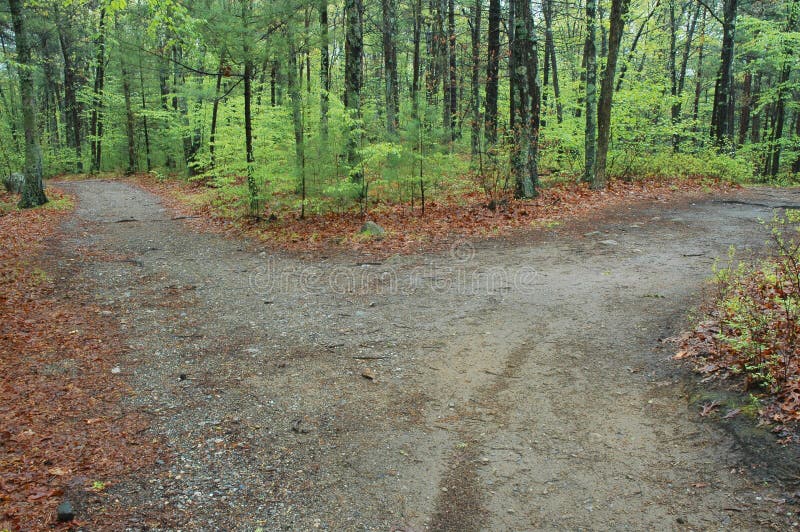 La forcella in un sentiero nel bosco.