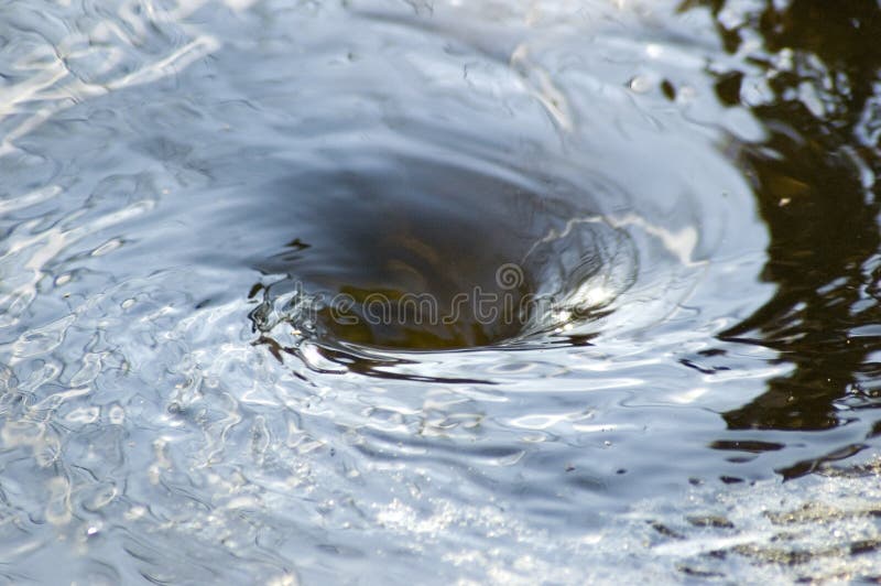 11,669 Whirlpool Stock Photos - Free & Royalty-Free Stock Photos from  Dreamstime