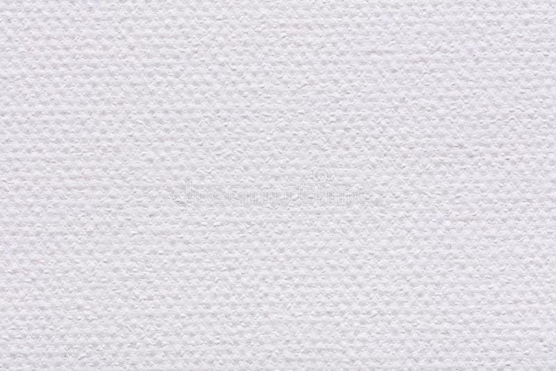 Canvas Texture Coated by White Primer. Stock Image - Image of