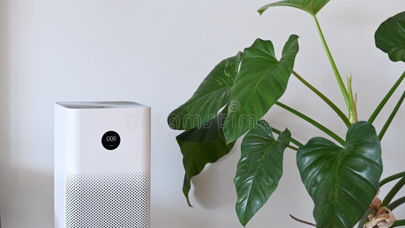 Air purifier and houseplant in living room for fresh air and healthy wellness life. White air purifier and houseplant in living room for fresh air and healthy stock photo