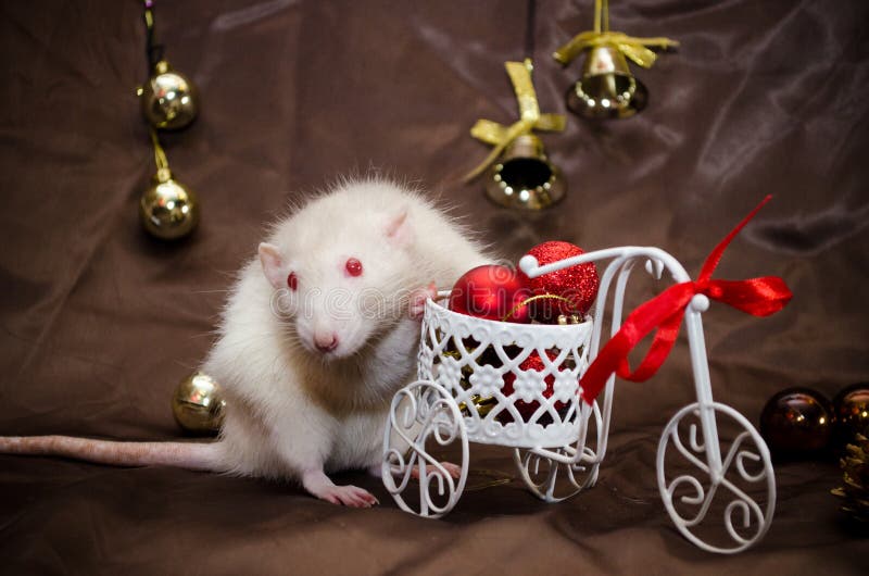 mit brass rat with red eye mit brass rat with red eye