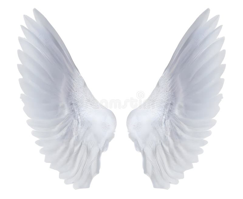 White Angel Wings Isolated on White Background. Generative AI Stock ...