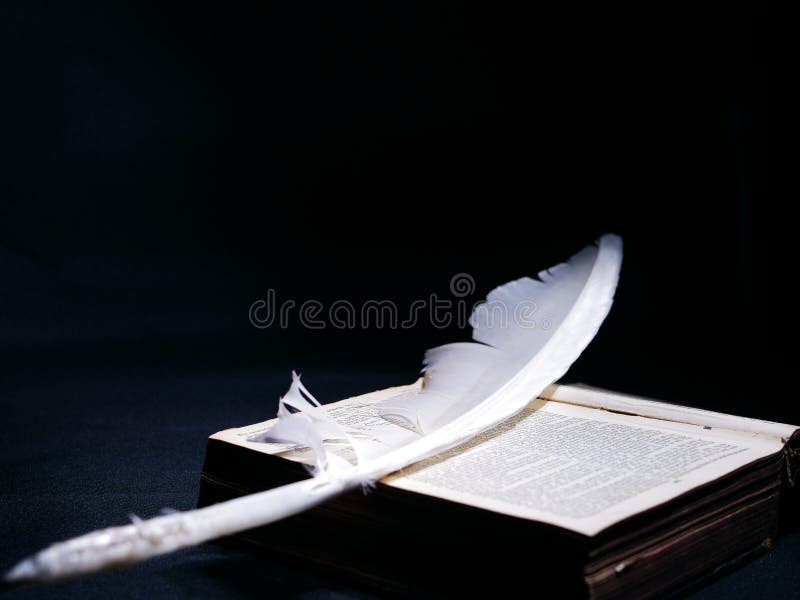 Blanco angelical descansa sobre el La biblia santo un libro sobre el oscuro de cerca selectivo concentrarse Oeste reino unido 72022 