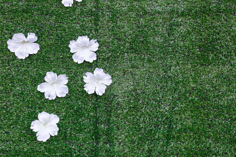 White artificial flower. stock photo. Image of turf, summer 92088812