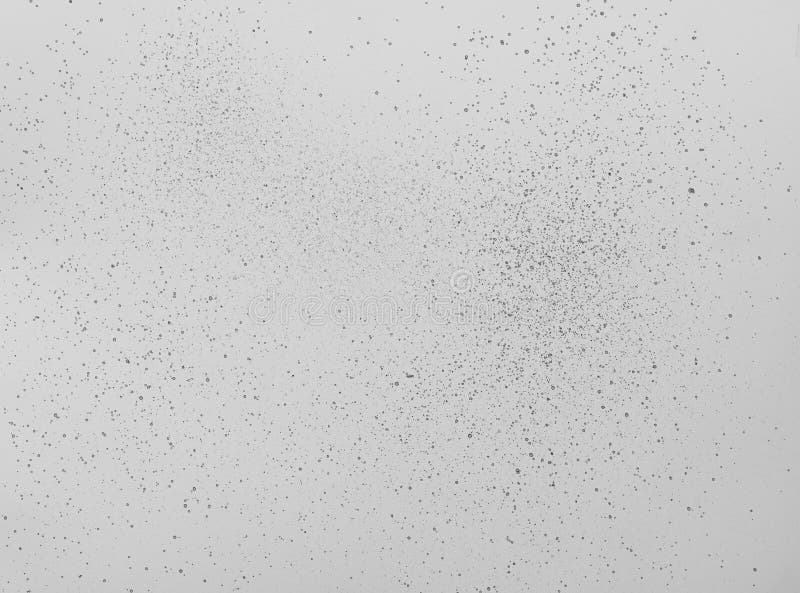 White Background with Brown Spots, Dots Stock Photo Image of wall