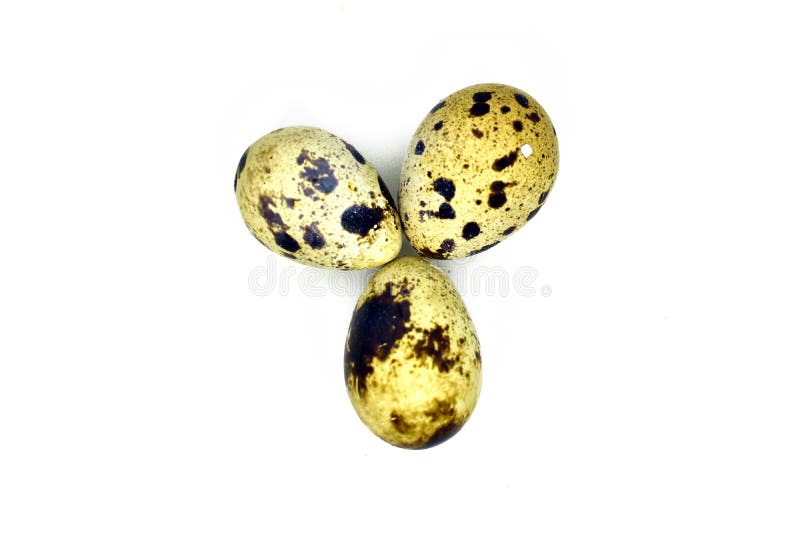 three eggs isolated on white background stock image three eggs isolated on white background stock image
