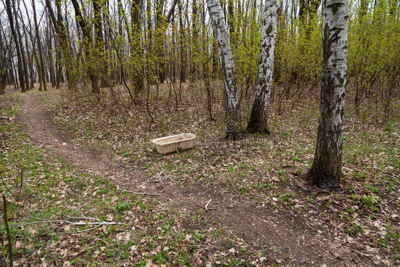 White bathtub stands next to large birches in forest royalty free stock image