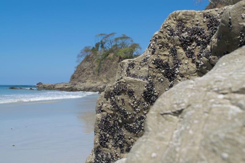 White Beach of Costa Rica stock image. Image of formation 85064595