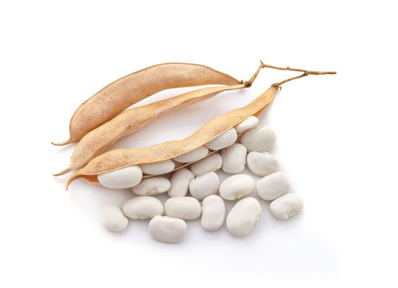 White beans in the pods stock image White beans in the pods stock image