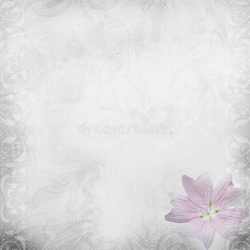 White Beautiful Wedding Background Stock Photo - Image of love, flower:  23758944