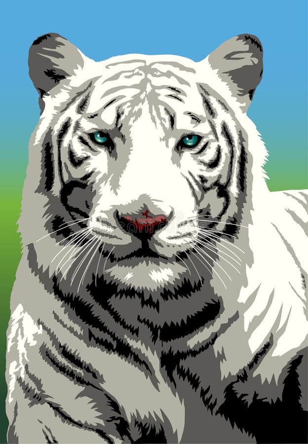 fierce white tiger drawing