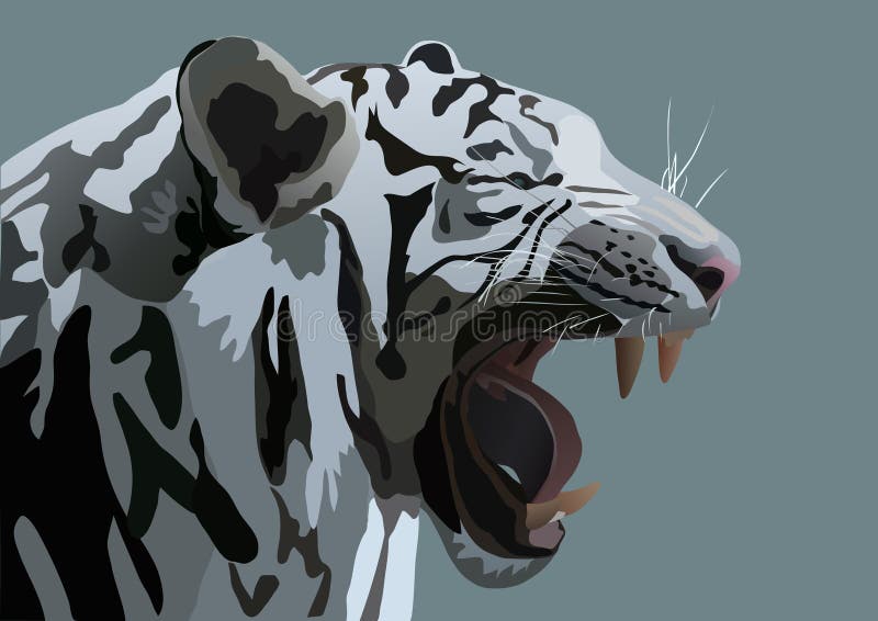 White Bengal tiger