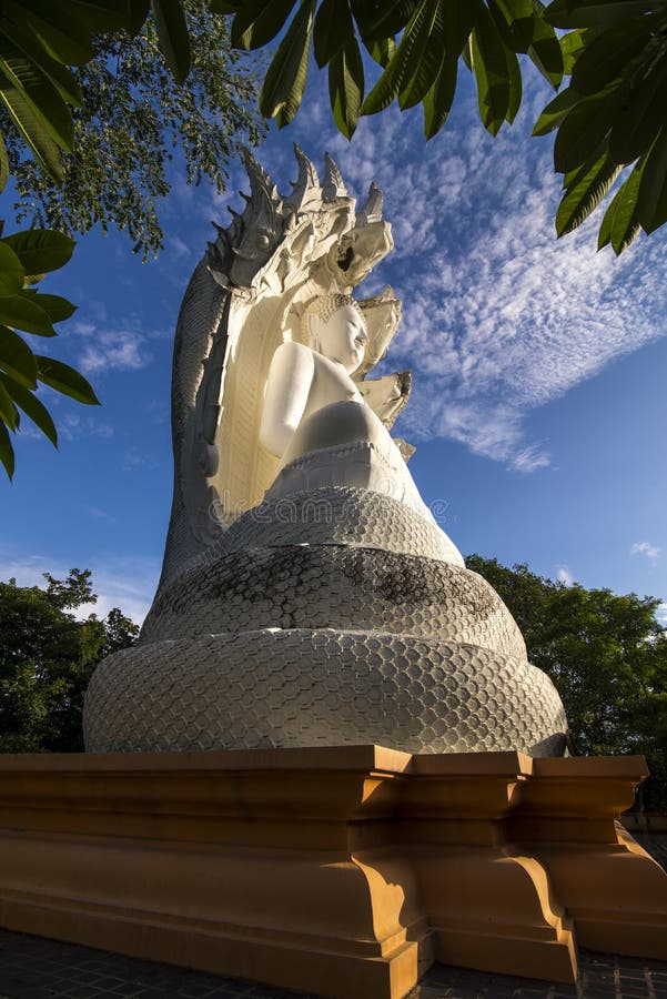 White Bhuddha sat under a snake with seven heads