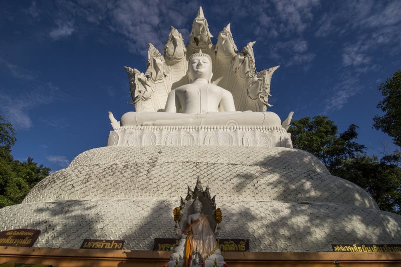 White Bhuddha sat under a snake with seven heads