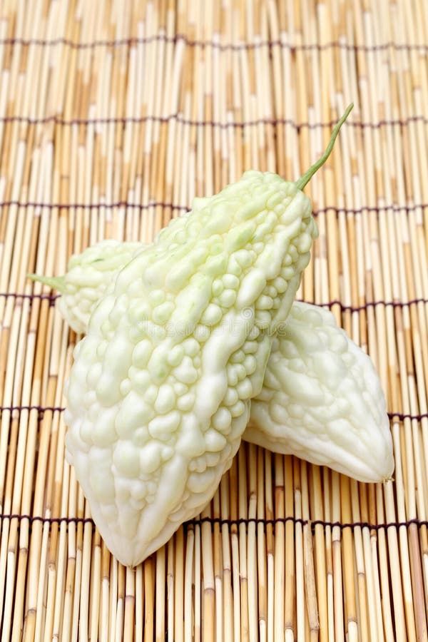 White bitter melon stock image. Image of isolated, nutrition 15403735