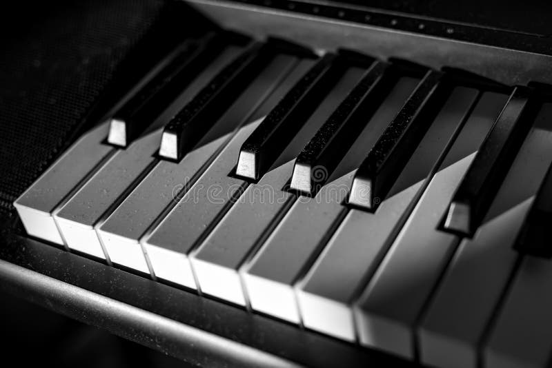 White and Black Keys on the Piano Keyboard Stock Photo Image of