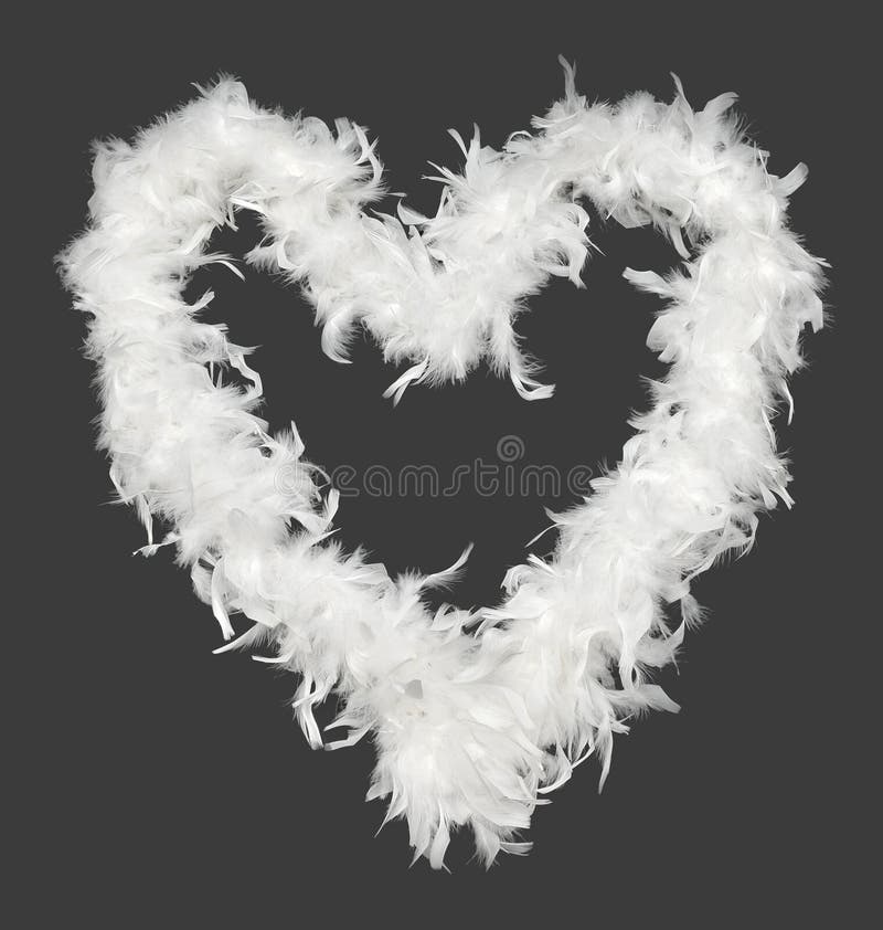 White boa heart stock image. Image of care, love, health - 27201173