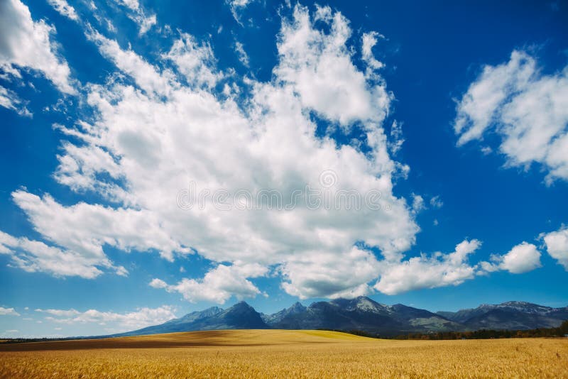 White bright clouds in the clear blue sky. Tatras.