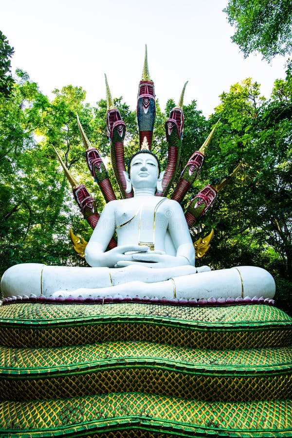 White Buddha in Analyo Thipayaram Temple