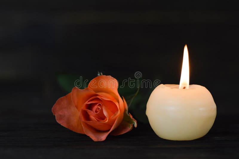 Burning Candle And Rose On Dark Background Stock Photo Image of