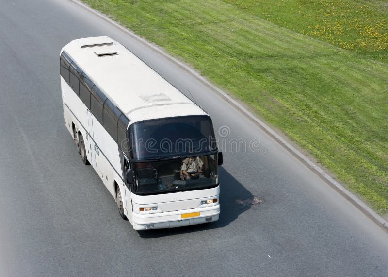 White bus on road stock image