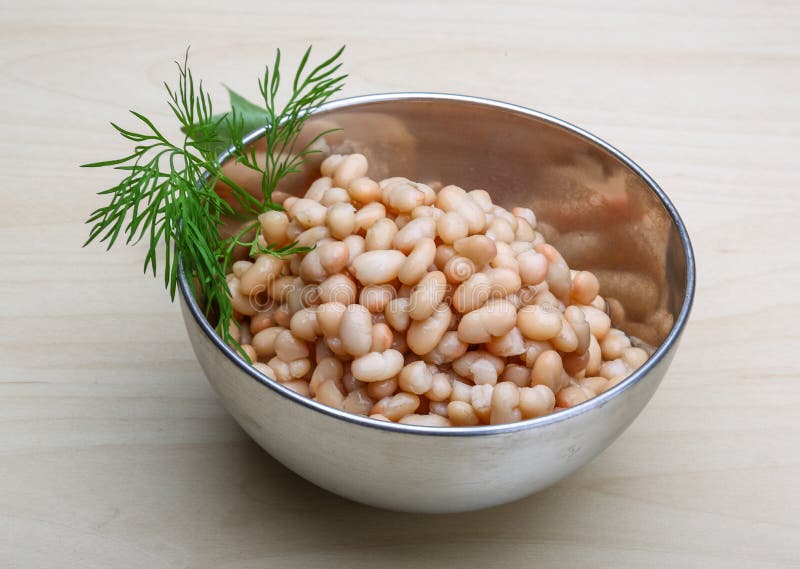 White canned beans stock image. Image of snack, preserved 54791427
