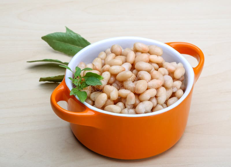 White canned beans stock image. Image of snack, preserved 54791427