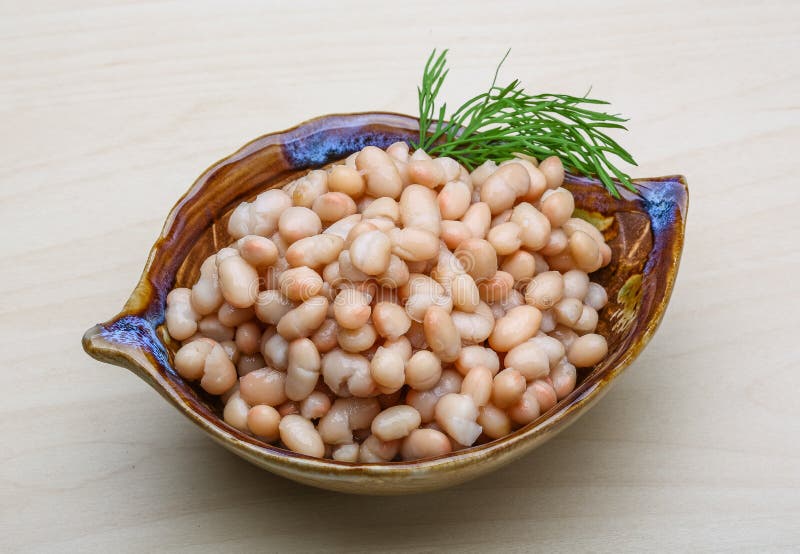 White canned beans stock image. Image of snack, preserved 54791427