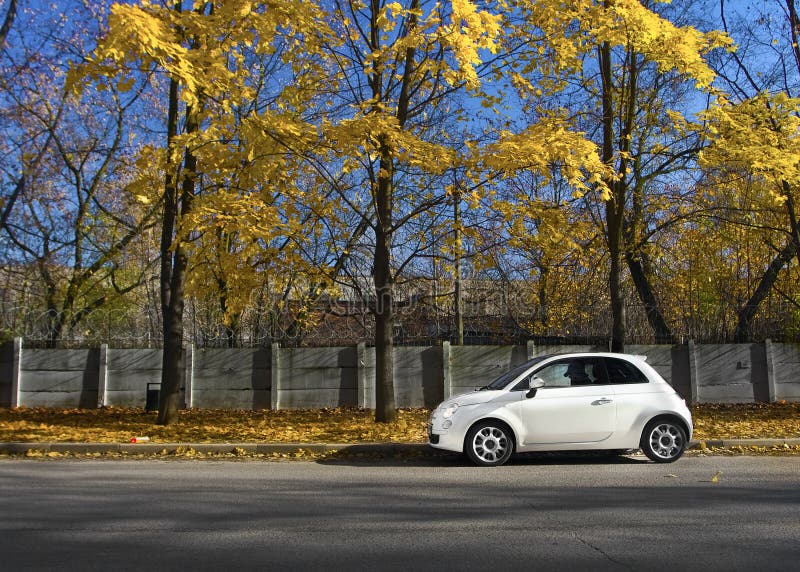 Bianco auto, giallo, foglie e cielo blu.