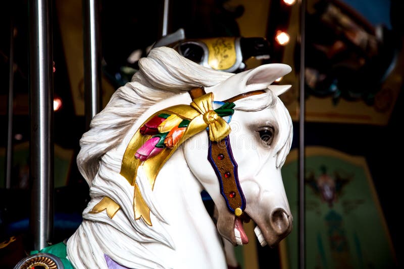 White Carousel Horse Head In Shadows Stock Image - Image of park