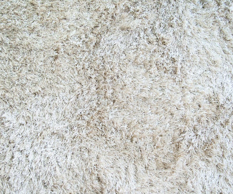 White Carpet with Long Pile Stock Photo Image of style, structure