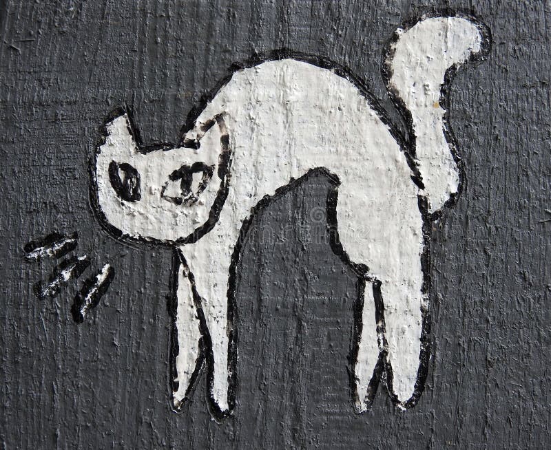 White cat paint on wooden fence, Lithuania royalty free stock image White cat paint on wooden fence, Lithuania royalty free stock image