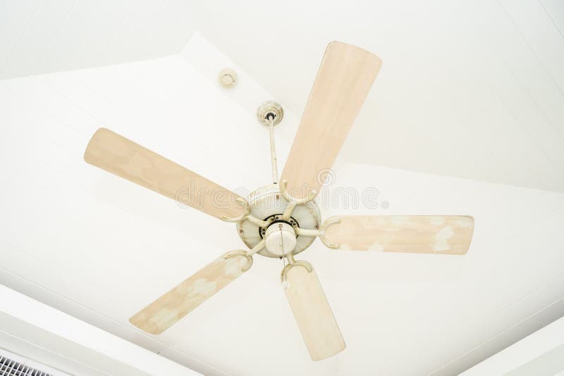 White Ceiling Fan Decoration Interior Stock Photo Image of modern