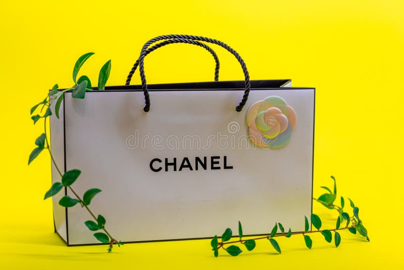 Chanel Bag Stock Illustrations – 51 Chanel Bag Stock Illustrations, Vectors  & Clipart - Dreamstime